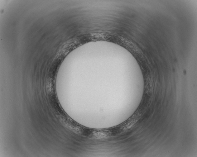 X0000078290706200611251443