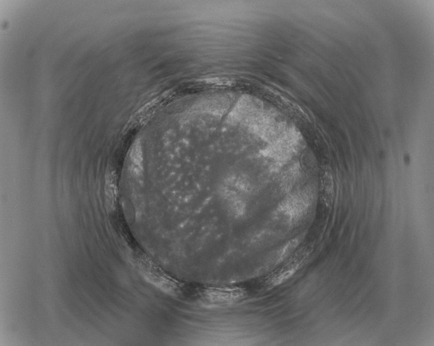 X0000078290707200611251443