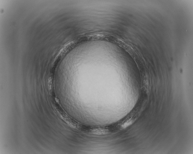 X0000078290708200611251443