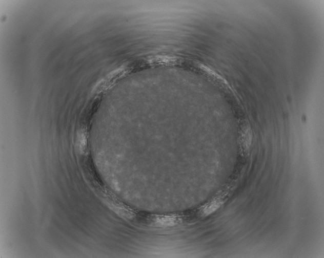 X0000078290709200611251443