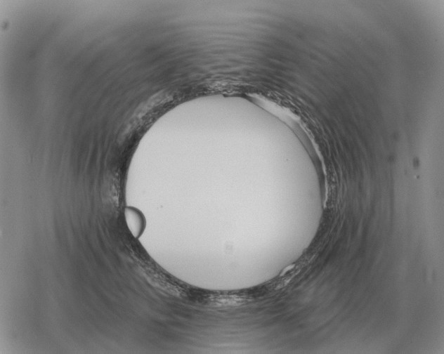 X0000078290710200611251443