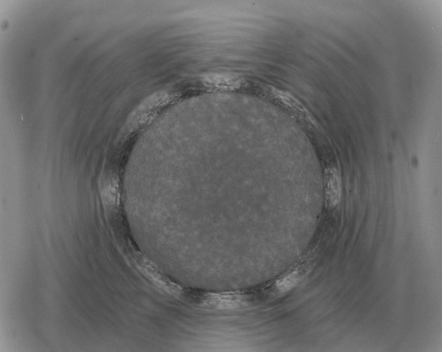 X0000078290713200611251443