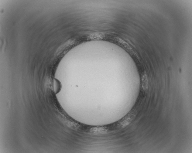 X0000078290714200611251443