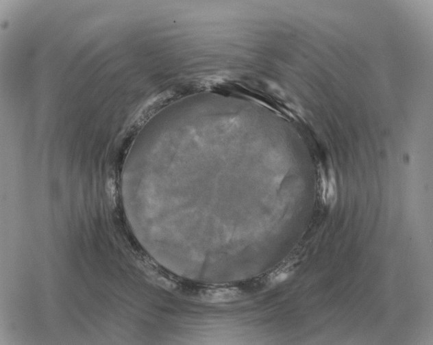 X0000078290716200611251443