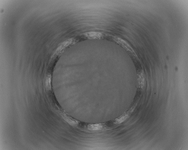 X0000078290717200611251443