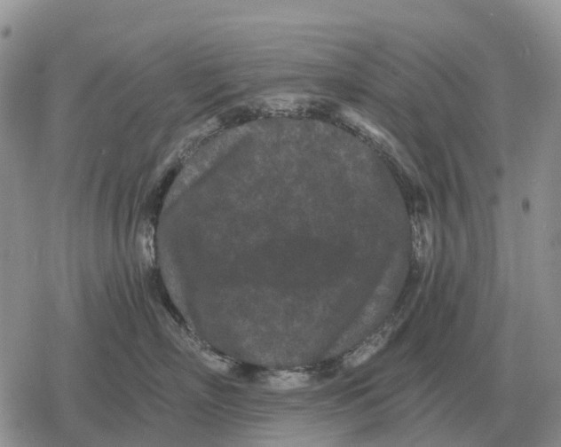 X0000078290718200611251443