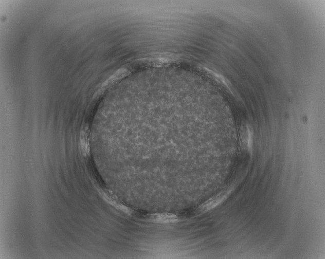 X0000078290719200611251443