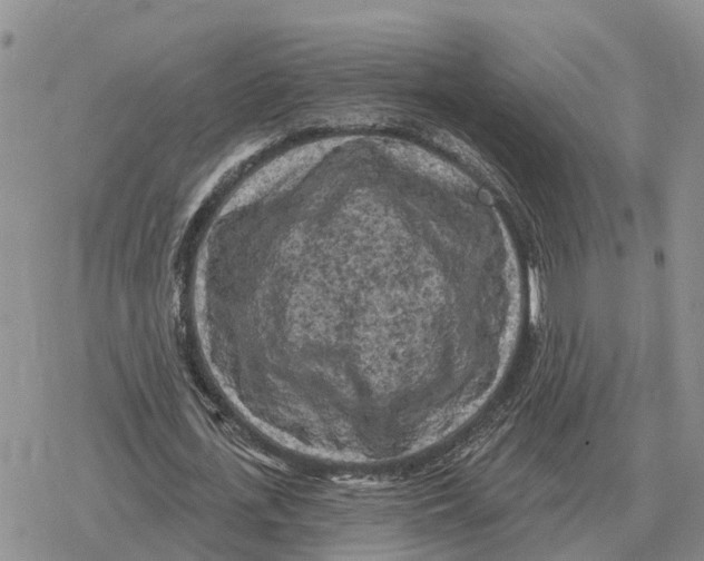 X0000078290723200611251442