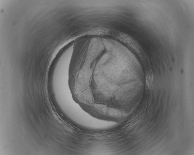 X0000078290724200611251442