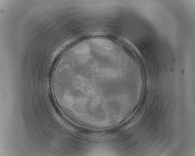 X0000078290725200611251442