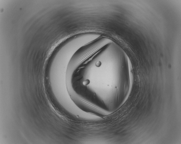 X0000078290728200611251442