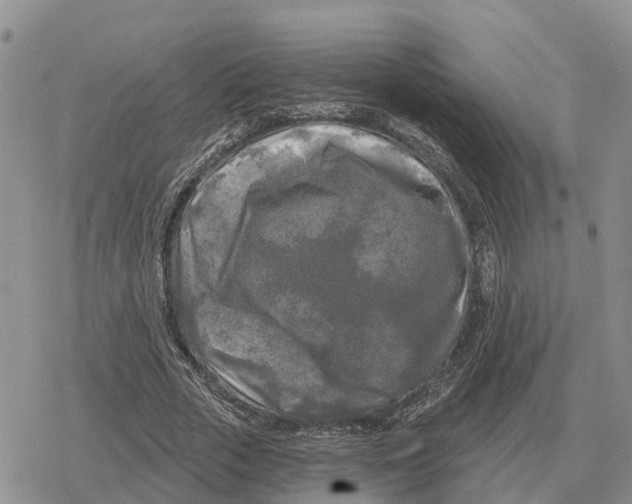 X0000078290729200611251442