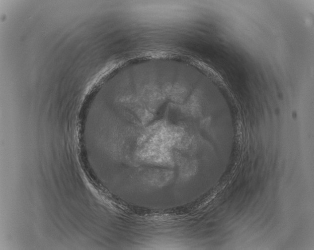 X0000078290730200611251442