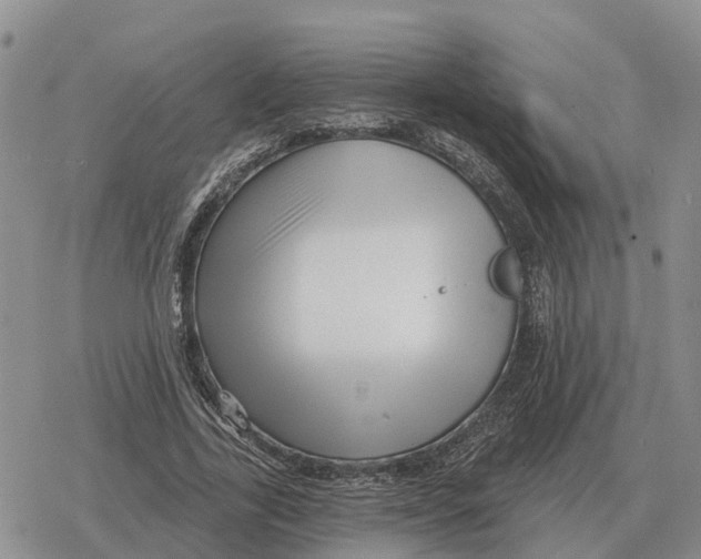 X0000078290731200611251442