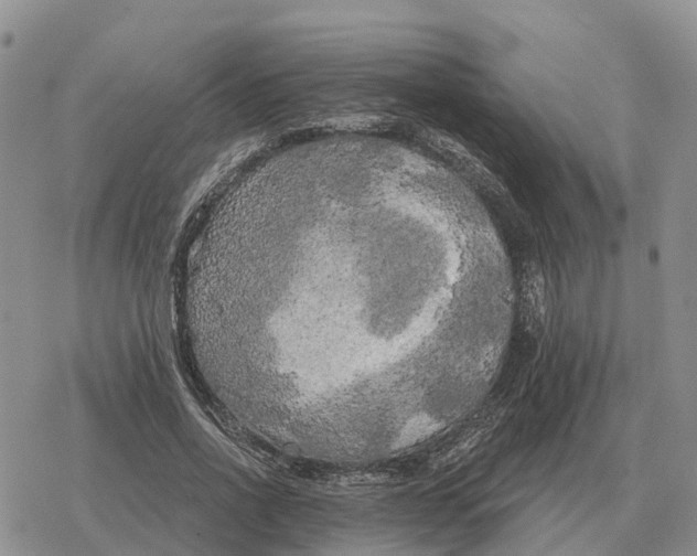 X0000078290734200611251442