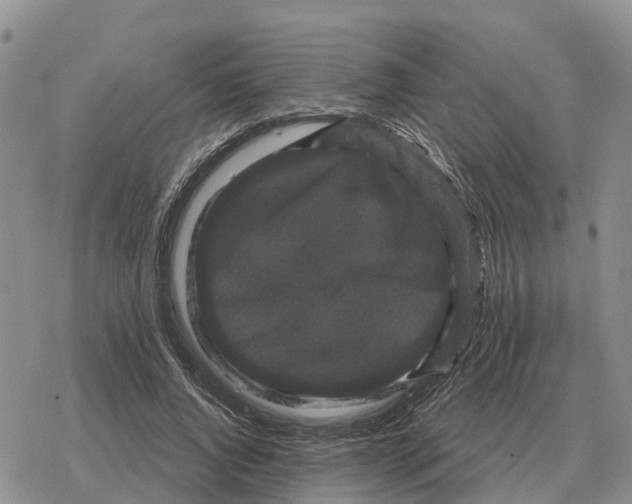 X0000078290736200611251442