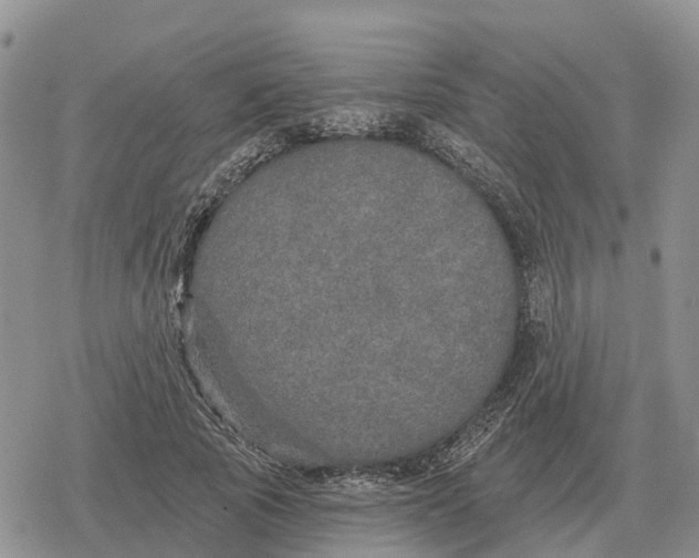 X0000078290737200611251442