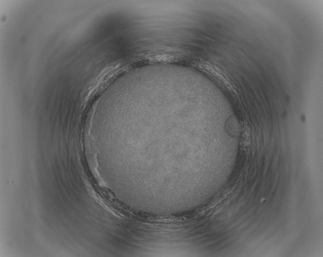 X0000078290738200611251442