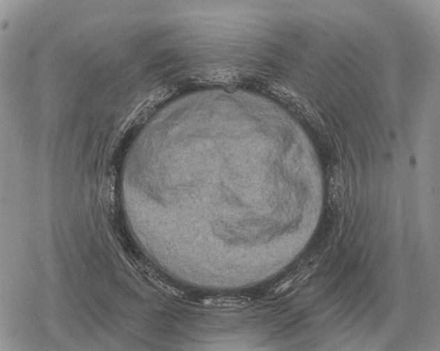 X0000078290739200611251442