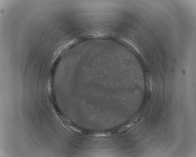 X0000078290740200611251442