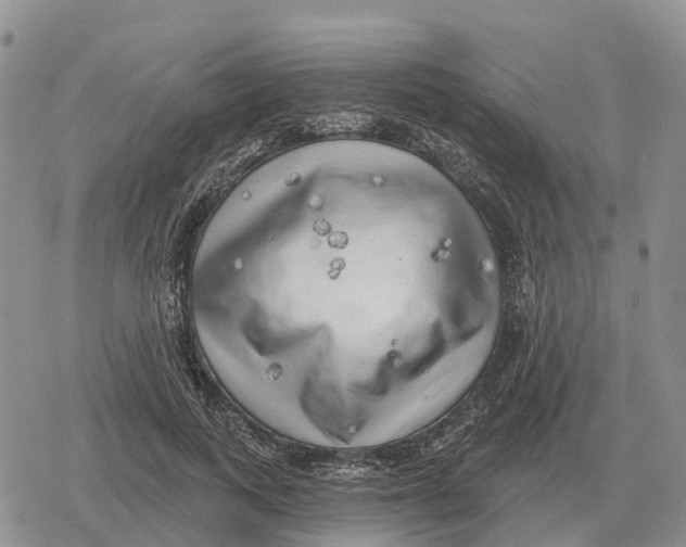 X0000078290743200611251443