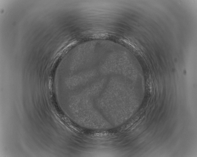 X0000078290744200611251443