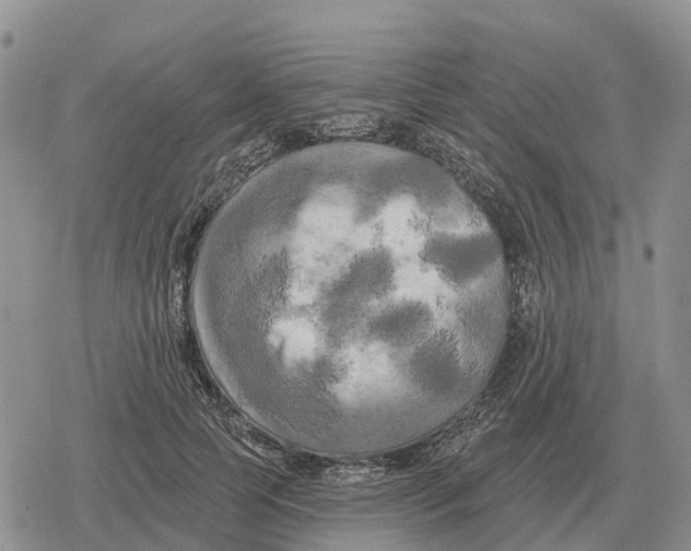 X0000078290745200611251443