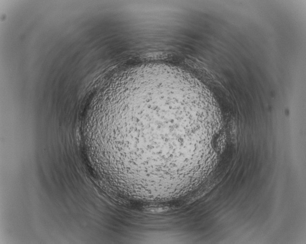 X0000078290746200611251443