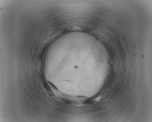 X0000078290747200611251443