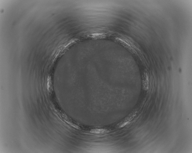 X0000078290748200611251443