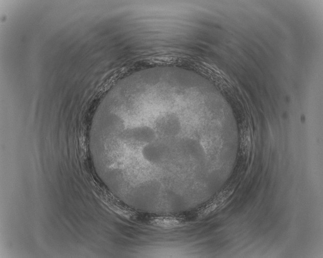 X0000078290749200611251443