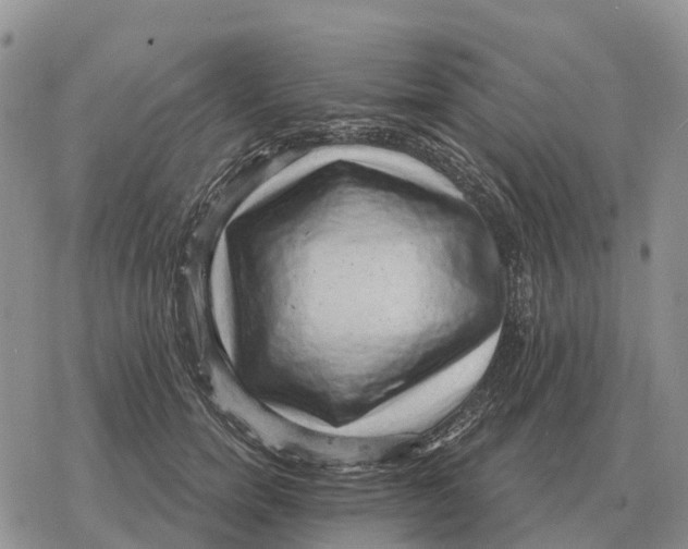 X0000078290750200611251443