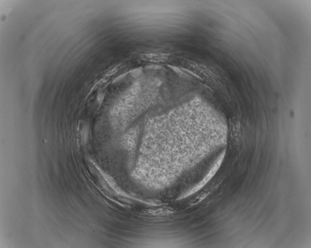 X0000078290752200611251443