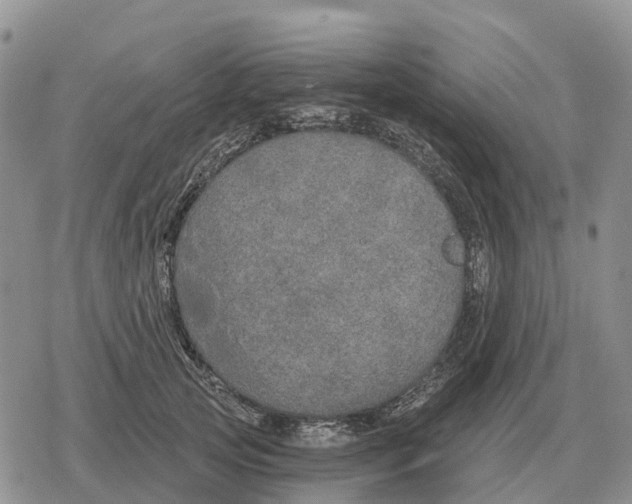 X0000078290753200611251443