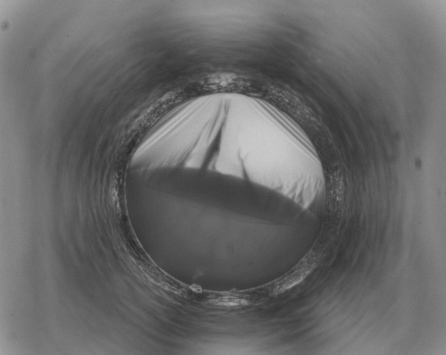 X0000078290754200611251443