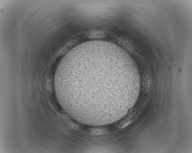 X0000078290755200611251443