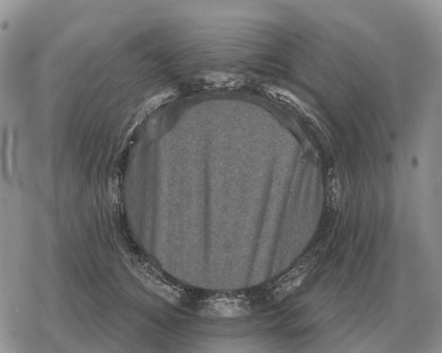 X0000078290756200611251443