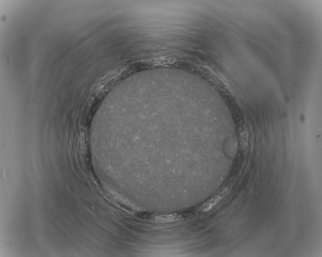 X0000078290757200611251443