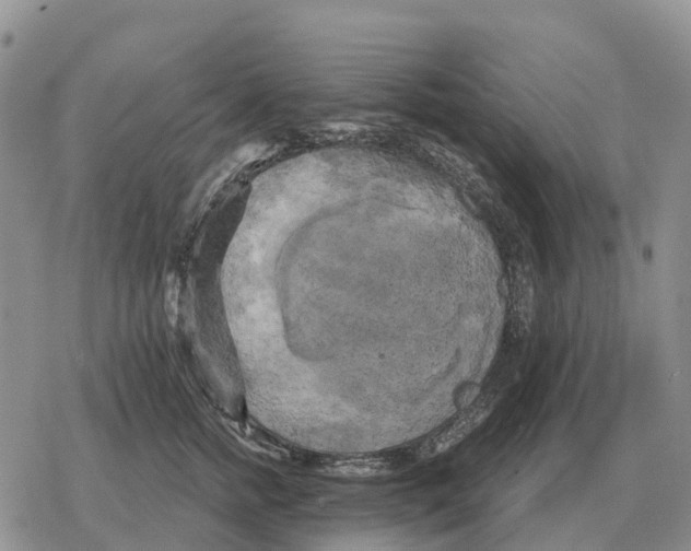 X0000078290758200611251443