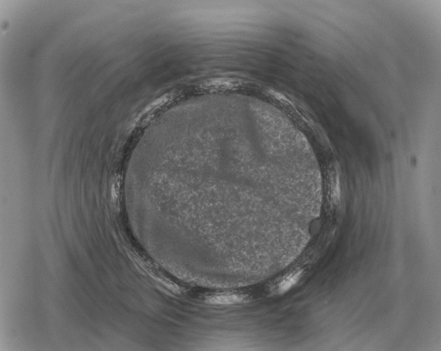 X0000078290759200611251443