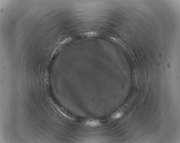 X0000078290760200611251443