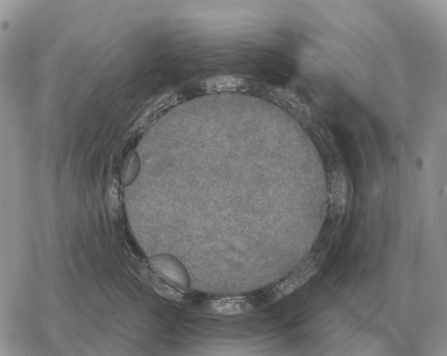 X0000078290761200611251443