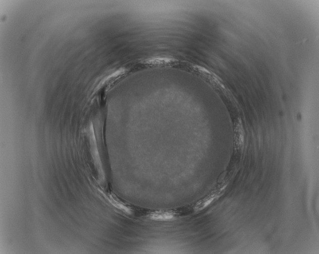 X0000078290762200611251443