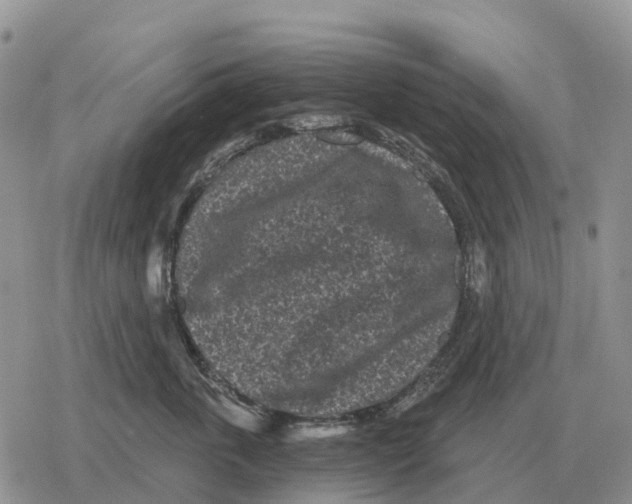 X0000078290763200611251443