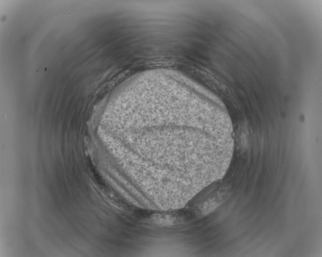 X0000078290764200611251443