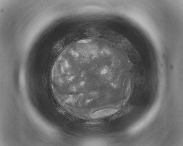 X0000078290765200611251443