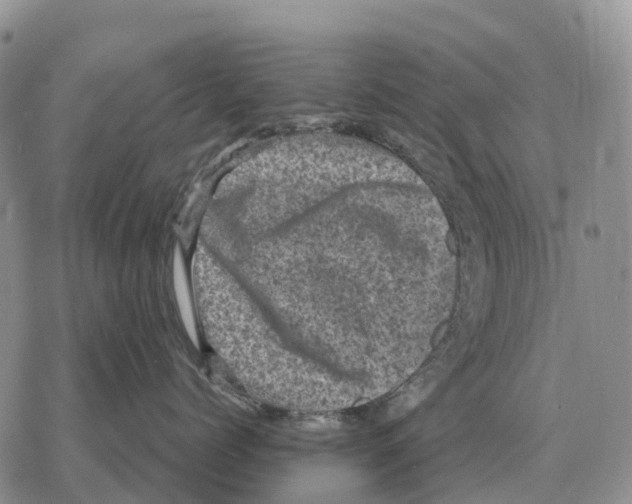 X0000078290768200611251443