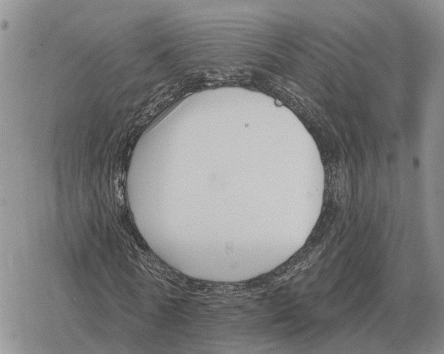 X0000078290770200611251442