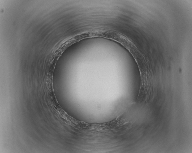 X0000078290773200611251442