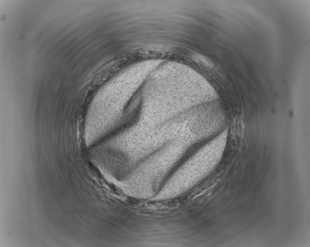 X0000078290774200611251442